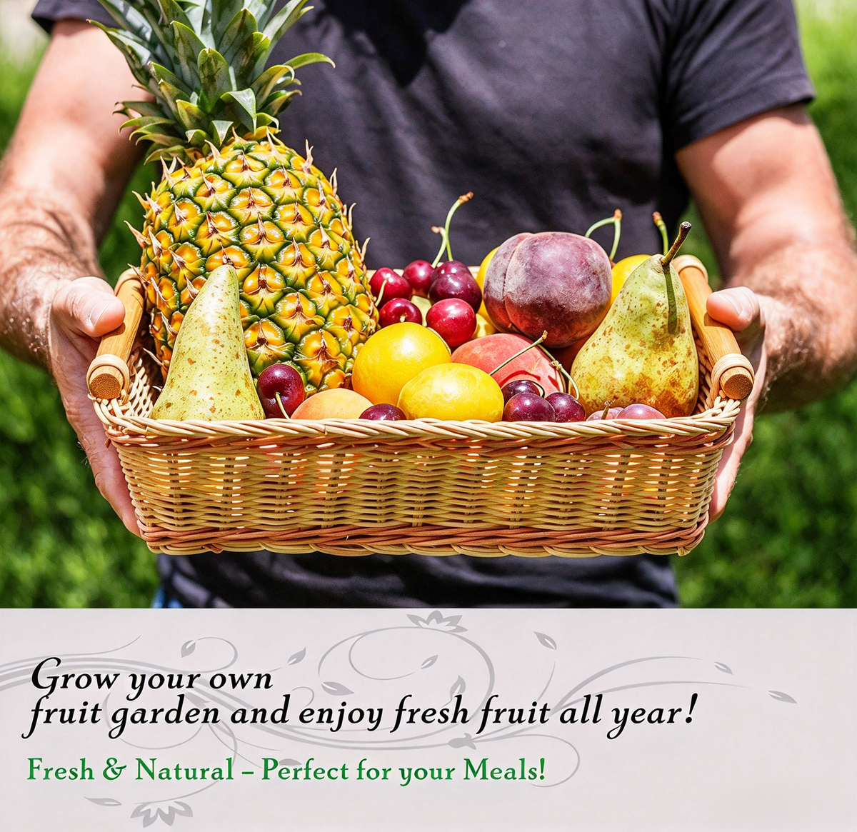 Fruit Garden Seed Kit – 8 Varieties, 860 Seeds